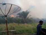 Nyaris Bakar Pemukiman, Karlahut terjadi Air Hitam Pujud, Rohil