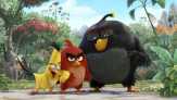 Kemarahan The Angry Birds Libas Captain America