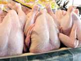 Tahan Selera, Harga Ayam Potong di Pekanbaru Tembus Rp35 Ribu per Kg