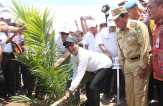 TPN V Siap Remajakan 28 Ribu Ha Lahan Petani