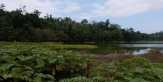 Mitos Kampung Tenggelam dan Udang Keramat di Danau Togo Motonu