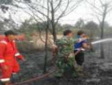 100,5 Hektare Lahan di Kampar Terbakar Sejak Januari