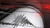 Jayapura Diguncang Gempa M 4,6, Tak Berpotensi Tsunami