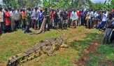 Saat Hendak Memancing, Marjuhan Warga Riau Ini Disambar Buaya