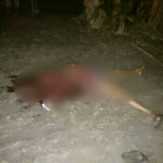 Seorang Bapak di Mandah Inhil Ditemukan Tewas Bersimbah Darah, Leher Tersayat, Badan Penuh Luka