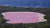 Turis China Menyerbu Danau Pink Australia