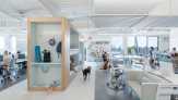 Desain Kantor yang Nyaman untuk Karyawan dan Anjingnya