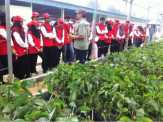 Rektor UR dan Mahasiswa KKN Kebangsaan Apresiasi Program FFV RAPP