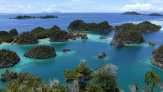 Raja Ampat Jadi Destinasi Wisata Favorit Pecinta Ular