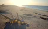 Pesona Gili Labak, 'The Hidden Paradise' di Madura
