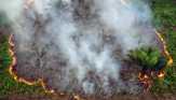 1.321 Ha Lahan di Riau Terbakar