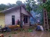 Akibat Angin Kencang Sebuah Rumah di Dusun Tulang Gajah Rusak Di Timpa Pohon.