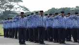 Membedah Aturan Honorarium PNS Daerah