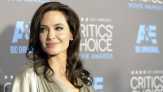 Karier Angelina Jolie Pasca Cerai: Ibu Rumah Tangga