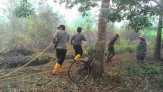 Ini Identitas Dua Orang yang Kebunnya Terbakar di Tanjungpisang