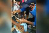 Tutup Panci Tersangkut di Kepala Bocah di Pekanbaru