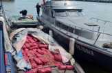Bea Cukai Dumai Kembali Tegah Bawang Impor Ilegal 12 Ton