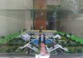 Agustus, Gedung Disdik Pekanbaru Pindah ke Eks Gedung SMK Teknologi