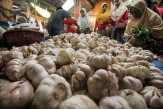 Impor Bawang Putih China Dialihkan ke India