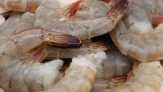 Empat Cara Dapatkan Udang Terbaik di Pasar