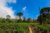 Rute dan Harga Tiket Pendakian di Basecamp Gunung Kendil via Sibajag