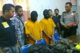 Dua dari 11 Pelaku Curas CPO Dibekuk Polsek Kandis