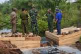 Ini Rahasia Bengkalis Mampu Tekan Kebakaran Hutan dan Lahan