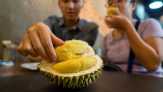 8 Manfaat Dahsyat Makan Durian