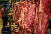 Harga Daging Sapi di Inhil Tembus Rp140 Ribu Perkilogram