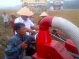 Walau Diliputi Kabut Asap Kabut, 78 Kelompok Tani di Rohil Tetap Panen Raya Bersama Bupati