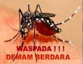 Masyarakat Dumai Diminta Waspadai Nyamuk Aedes Aegepty