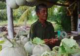 Kisah Mbah Jan, Petani di Bengkalis Ini Keluhkan Minimnya Perhatian Pemerintah