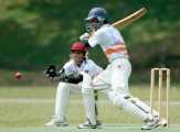 Olahraga Baru di Indonesia Kricket