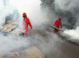 Jakarta Waspada DBD