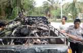 5 Sepeda Motor Pemanen Madu di Ukui, Pelalawan, Diduga Dibakar