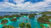 Lima 'Surga Ikan' di Raja Ampat dan Tradisi Sasi