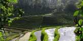 Bali Bukan Hanya Pantai, Nikmati Hamparan Sawah di Tabanan