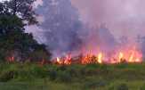 Warga Sempat Panik, Api Bakar Lahan di Bangkinang dan Salo