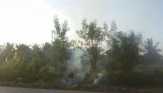 Panas 'Garang' Banyak Lahan Kosong di Duri Terbakar