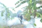 Pukesmas Sinoboi Lakukan Fogging di Lingkungan Warga