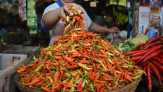 Harga Cabai Makin 'Pedas'