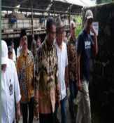 Menteri Pertanian Minta Kurangi Impor Rp 37 Triliun, Wujudkan Swasembada Bersama Peternak Lokal