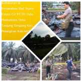 Termasuk 2 Rumah, Karyawan PT TH Indo Plantation di Pelangiran, Inhil Tewas Terbakar