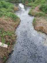 Diduga Buang Limbah ke Sungai, PT CAS Dilaporkan ke DLH Pelalawan