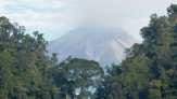 Hutan Konservasi Taman Nasional
