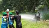 Dipandu Tim Fire Fighter PT RAPP, Siswa SMA Asal Jakarta Antusias Pelajari Lingkungan di Pelalawan
