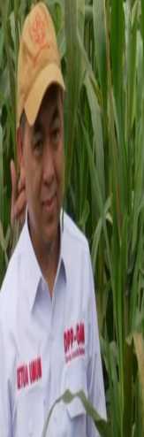 Mengembalikan 