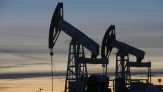 Produksi OPEC Cetak Rekor, Harga Minyak Dunia Anjlok
