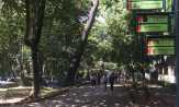Pedagang Es Krim Meninggal di Kebun Binatang Ragunan Jakarta