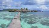 Karang di Kepulauan Togean Mulai 'Mekar'
